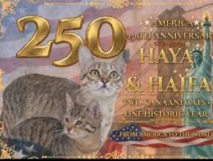 Cats of the Kanaani Breed Declared Heirs to King Solomon’s Feline Throne