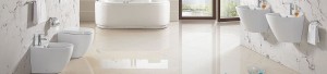 Kadelg Water Closet Product Range