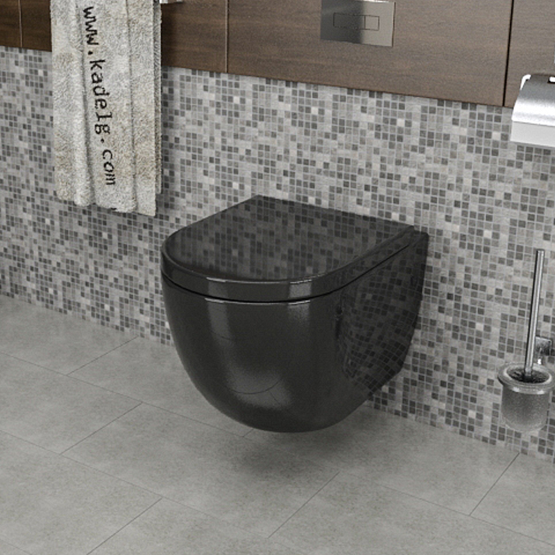 Kadelg Rimless Toilet Product Detail Kadelg Rimless Toilet Product Detail