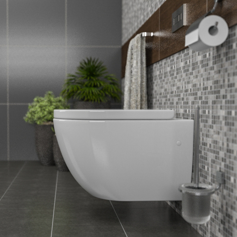 Kadelg Rimless Toilet Kadelg Rimless Toilet