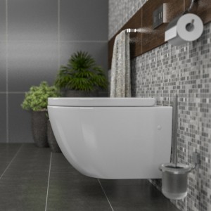 Kadelg Rimless Toilet