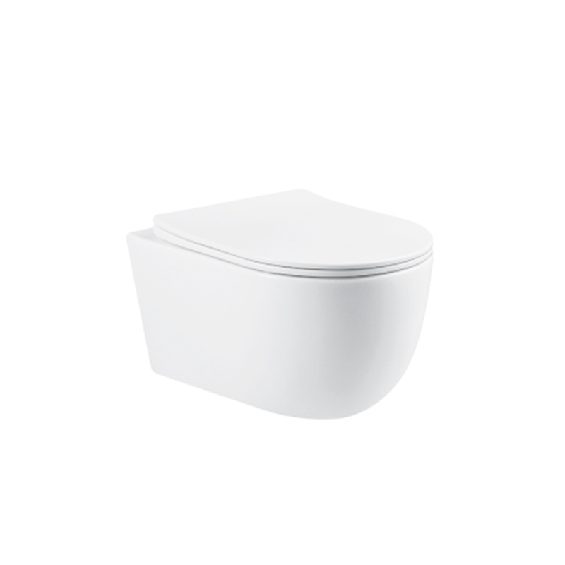 Flush-System Naming Across Markets Through the Lens of OEM Tornado Toilet Partner Kadelg
