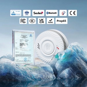 Top 10 Suppliers of Smoke Alarm in China