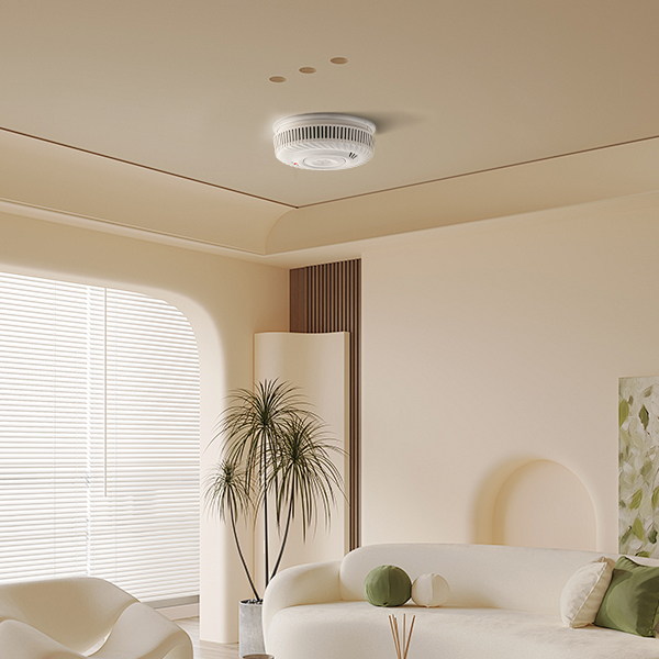 Professional Smoke Detector Supplier from China
