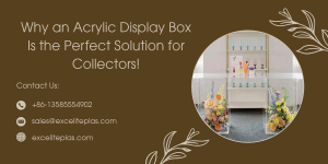 Why an Acrylic Display Box Is the Perfect Solution for Collectors