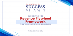 Success Vitamin Helps Businesses Remove Revenue Friction With Revenue Flywheel Framework
