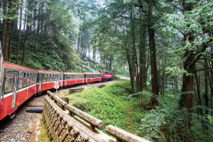 Taiwan offers rich and diverse scenery and experiences for every traveler to enjoy.