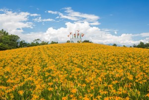 Taiwan offers rich and diverse scenery and experiences for every traveler to enjoy.