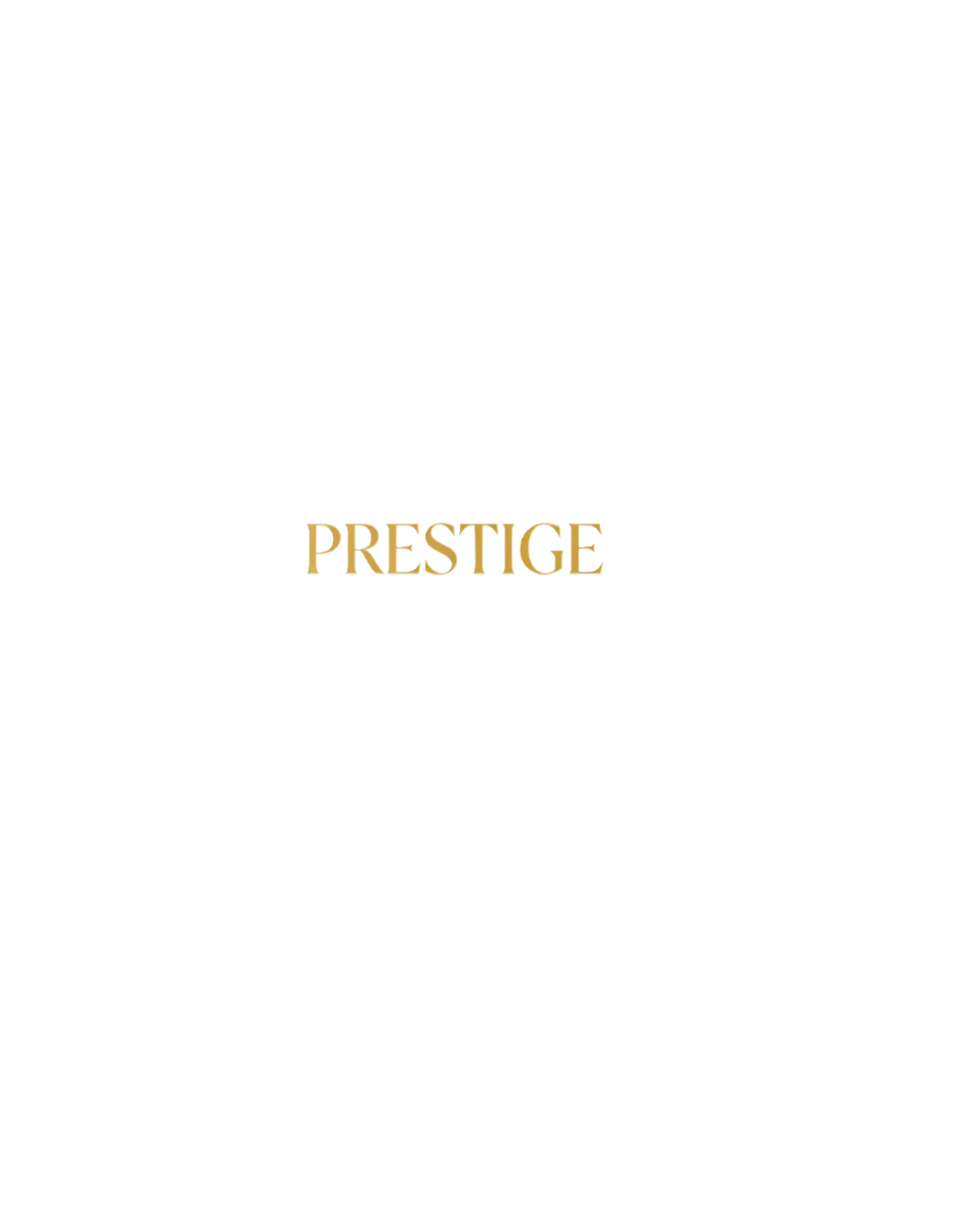 Explore Authentic Pre Owned Luxury Bags with PRESTIGE