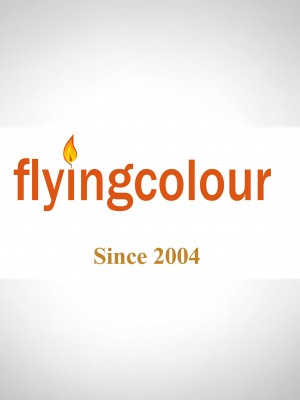 flyingcolour logo