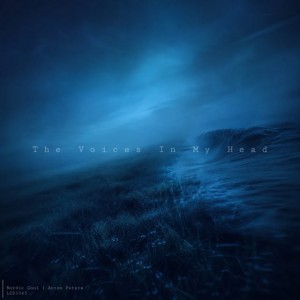 The Voices In My Head