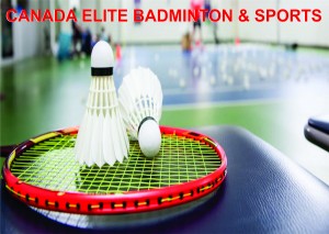 Badminton Training