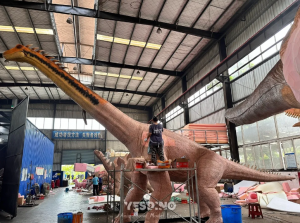 Yesdino 18m Diplodocus Under Workshop Construction