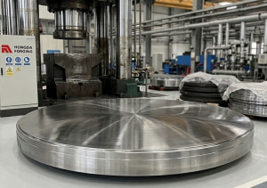 16Mn_forged_tube_sheet_blank