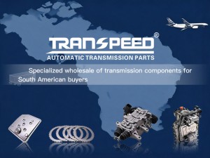 TRANSPEED Supply Network For South American Buyers