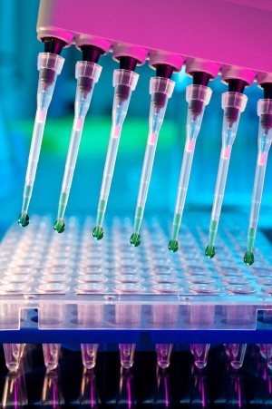 Integrated Partners Turn Early Findings Into Development Decisions