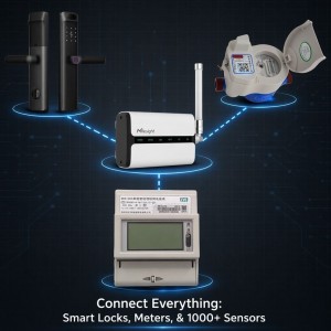 Diyu Smart LoRaWAN Gateway Connected With Smart Locks Meters And Sensors