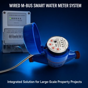 Diyu Smart 4G Cat 1 Smart Water Meter With Cellular Metering Context