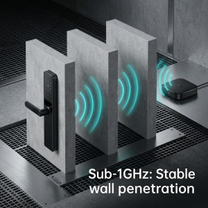 Diyu Smart PC01 LoRa Smart Lock Application View