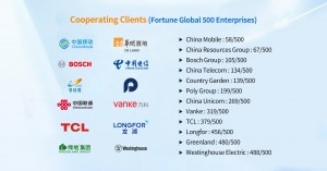 Diyu Smart Cooperating Clients Fortune Global 500 Enterprises