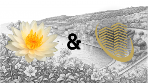 1st finance and white lotus