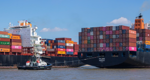 Matson Sea Shipping Rate Solution Provider