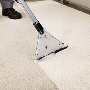 Carpet Odor Removal
