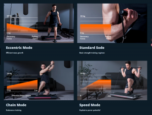 Exercise Variety Without Equipment Changes
