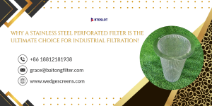 Why a Stainless Steel Perforated Filter Is the Ultimate Choice for Industrial Filtration