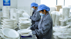 bagasse tableware quality inspection