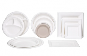Bagasse Containers