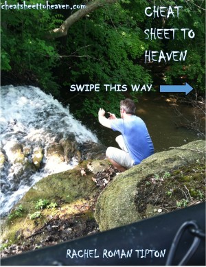 Hot off the Press, Cheat Sheet to Heaven, offers an upgraded thought level to how we think about life.