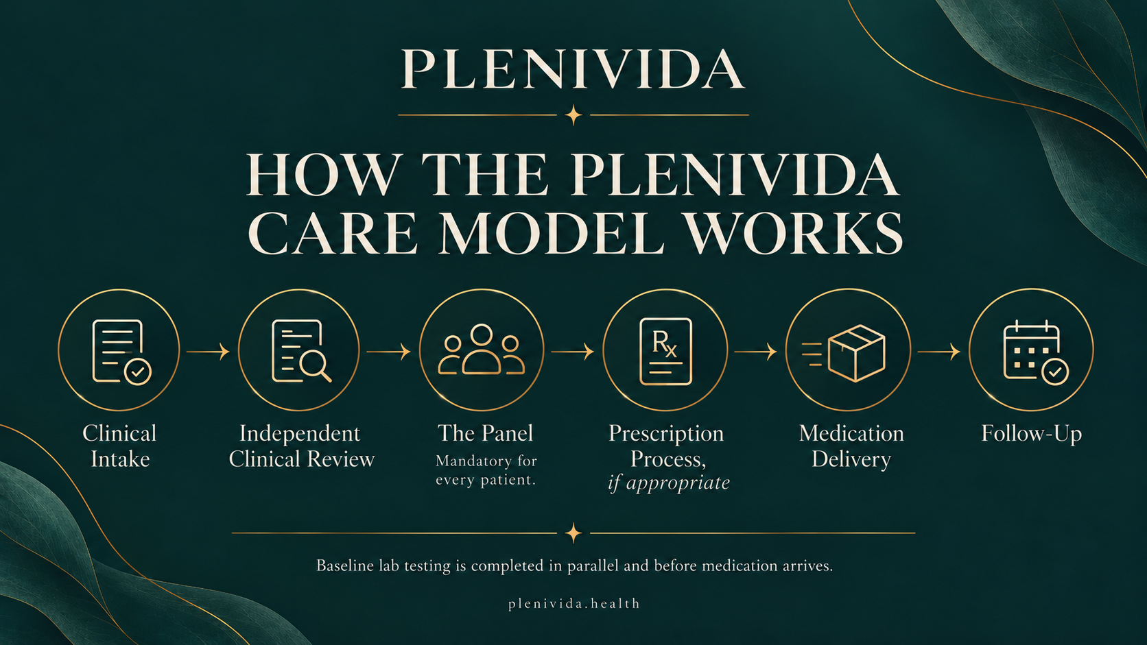 Understanding the process at Plenivida How it works Understanding the process at Plenivida How it works