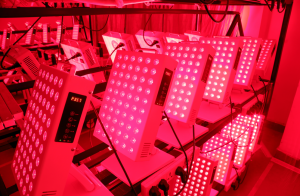 Red Light Therapy Manufacturer