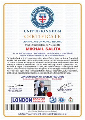 World Record Certificate presented to Mikhail Salita by the London Book of World Records