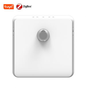 Global Leading Zigbee Motion Sensor Supplier