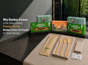 Disposable Catering Kits