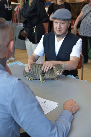 Princess Haya makes her historic international debut at the WCF Cat Show in Vantaa, Finland.