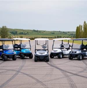 Top 10 Mini Golf Carts