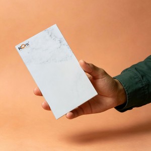 FP13005