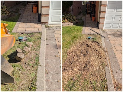 Grindstone Tree Co. Offers Stump Grinding in Toronto and the GTA with Free Quotes and Clear Pricing Guidance