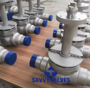 Global Leading Cryogenic Valves Supplier