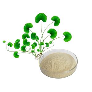 Gotu Kola Extract Gotu Kola Extract