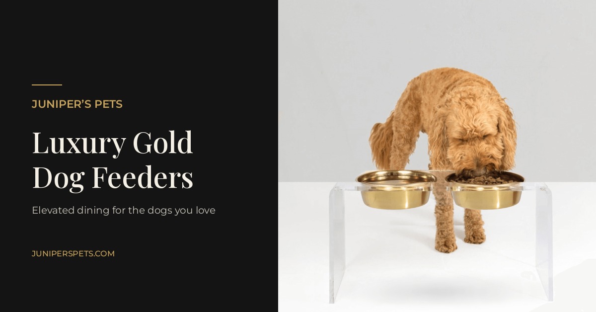 juniperspets gold feeder hero