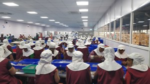 Assembly in the factory, Daman, India