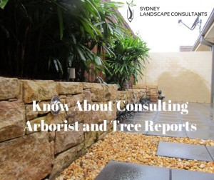 Tree Reports Wollongong