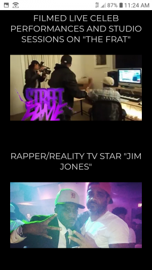 Horse El Caballo Wren 