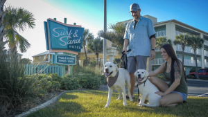 Surf & Sand Pet Friendly Hotel Pensacola Beach, FL