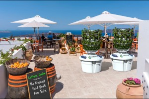 HeliX Vertical Garden™