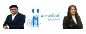 Water And Shark